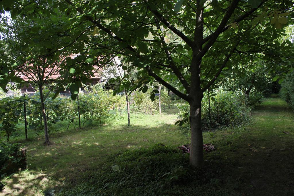 Chez Salome Et Fritz Βίλα Ingolsheim Εξωτερικό φωτογραφία