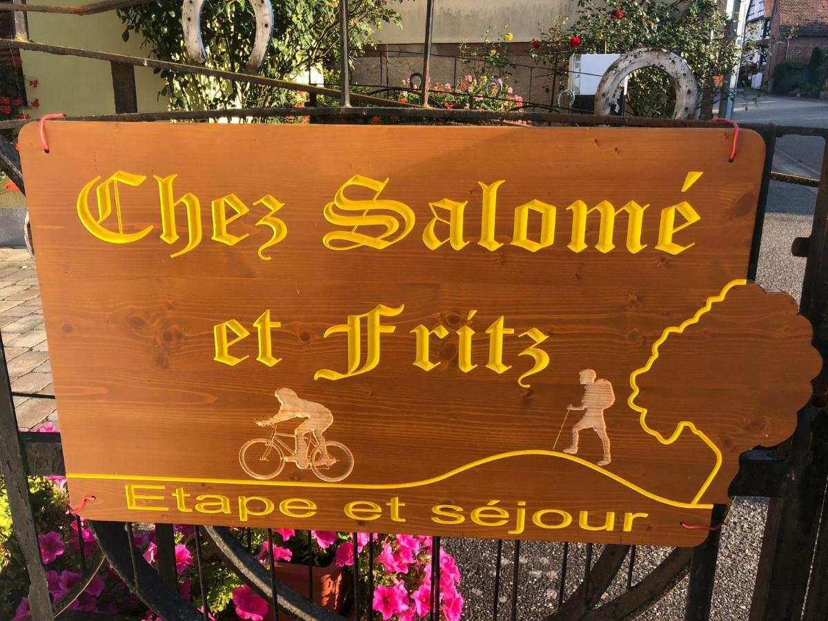 Chez Salome Et Fritz Βίλα Ingolsheim Εξωτερικό φωτογραφία