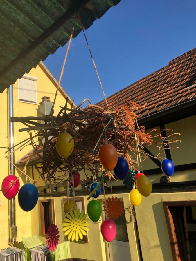 Chez Salome Et Fritz Βίλα Ingolsheim Εξωτερικό φωτογραφία